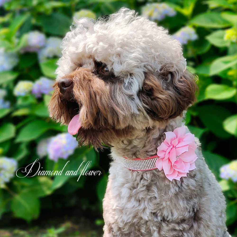 Bling Floral Rhinestone Collar