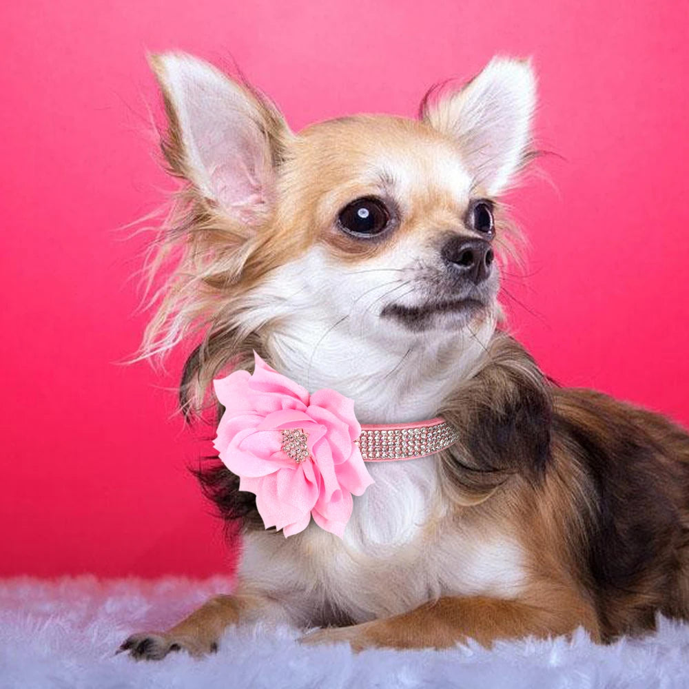 Bling Floral Rhinestone Collar