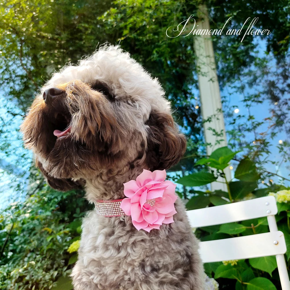 Bling Floral Rhinestone Collar