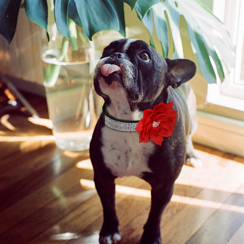 Bling Floral Rhinestone Collar