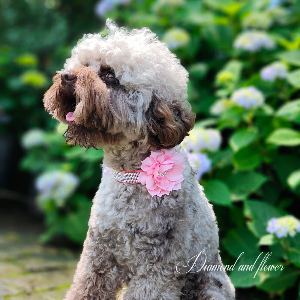 Bling Floral Rhinestone Collar