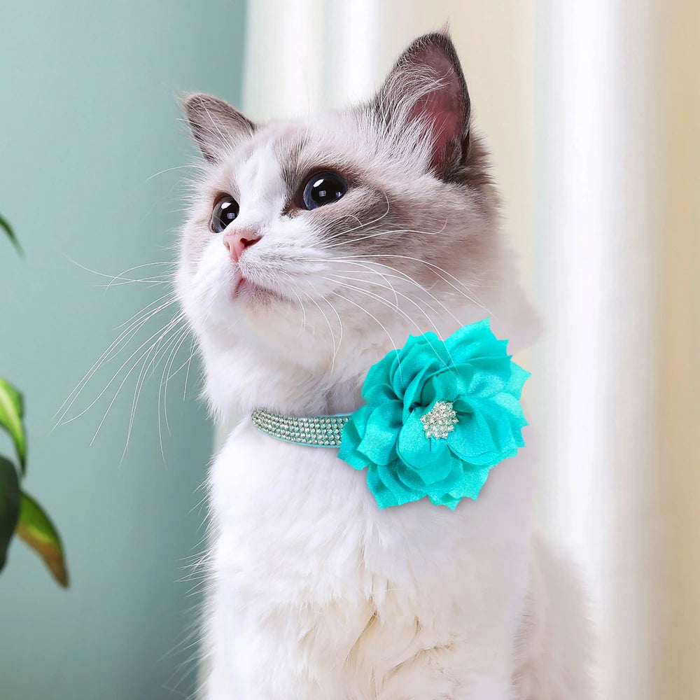 Bling Floral Rhinestone Collar