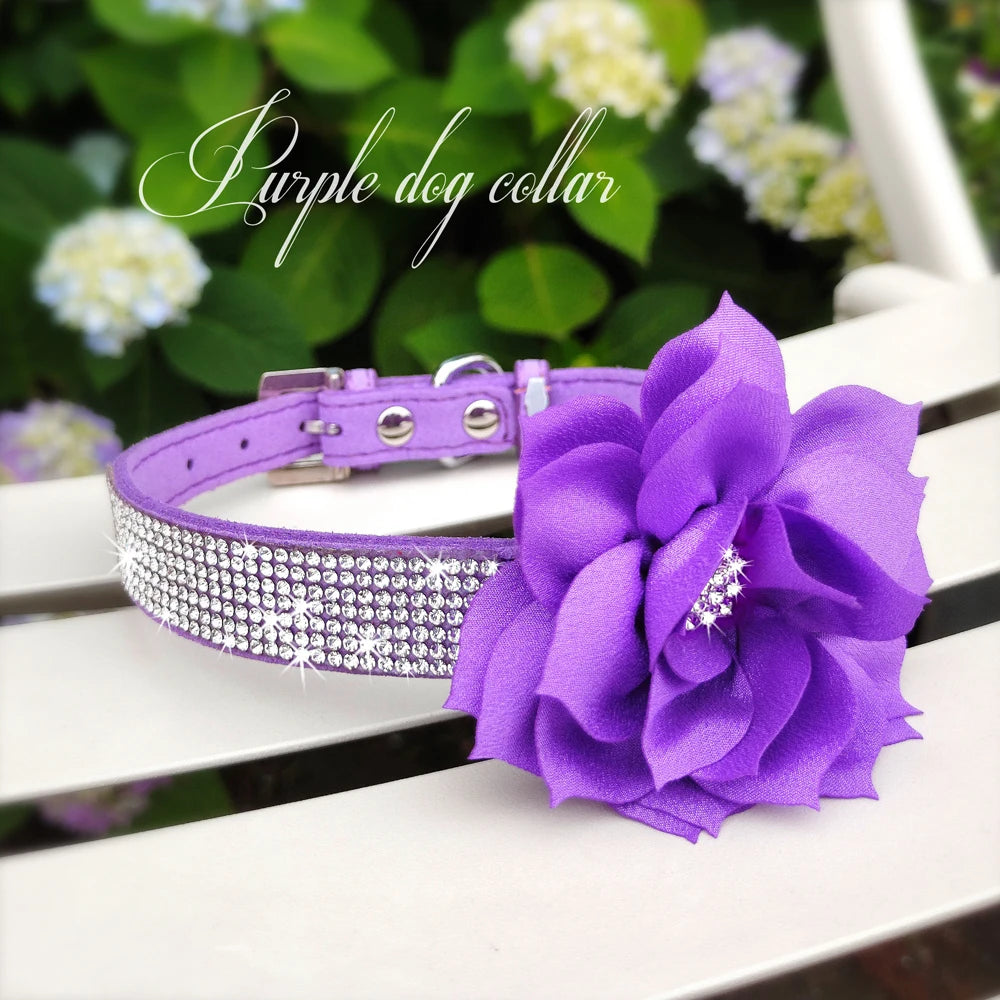 Bling Floral Rhinestone Collar