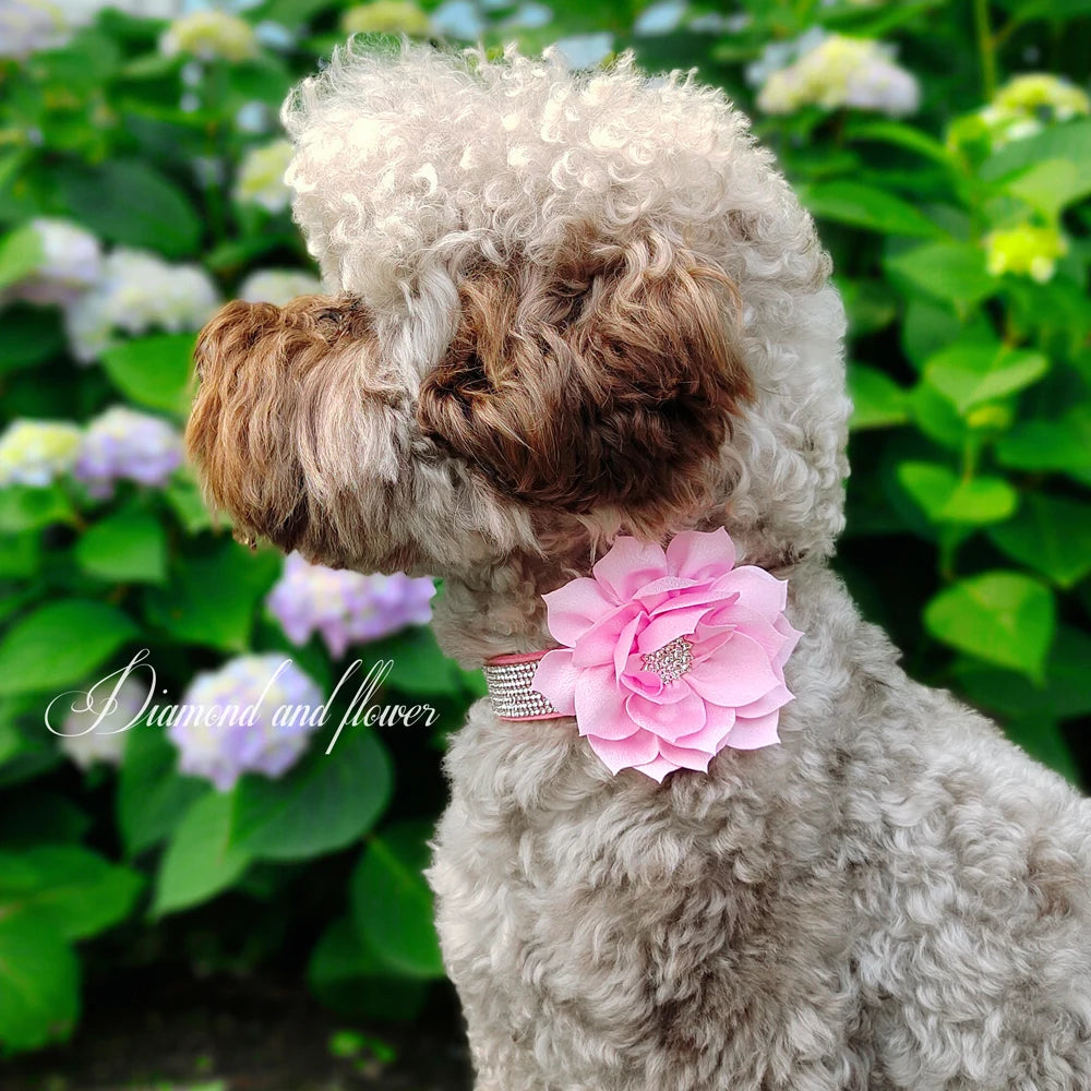 Bling Floral Rhinestone Collar