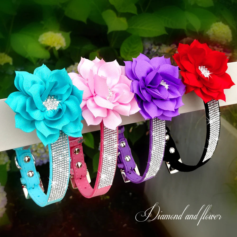 Bling Floral Rhinestone Collar