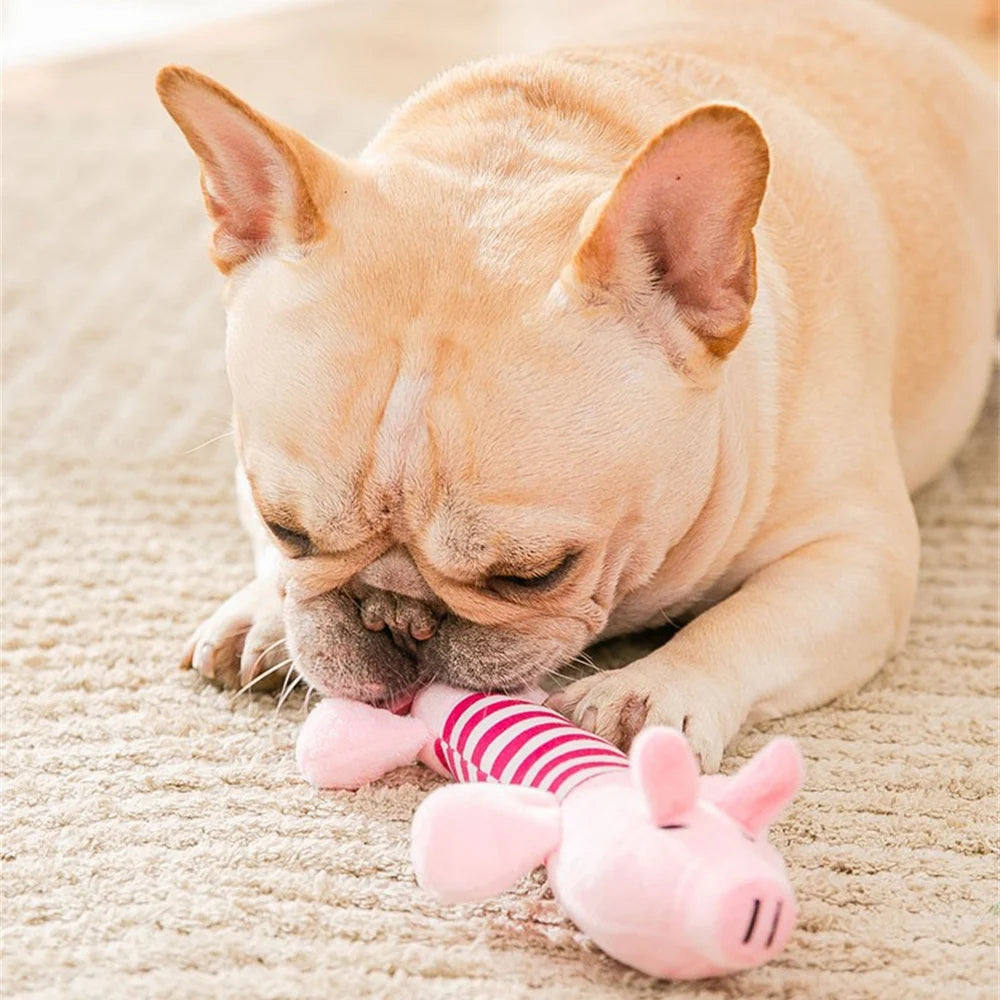 Snuggly Plush Squeaky Toy