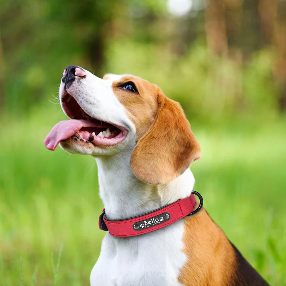 Custom Engraved PU Leather Dog Collar