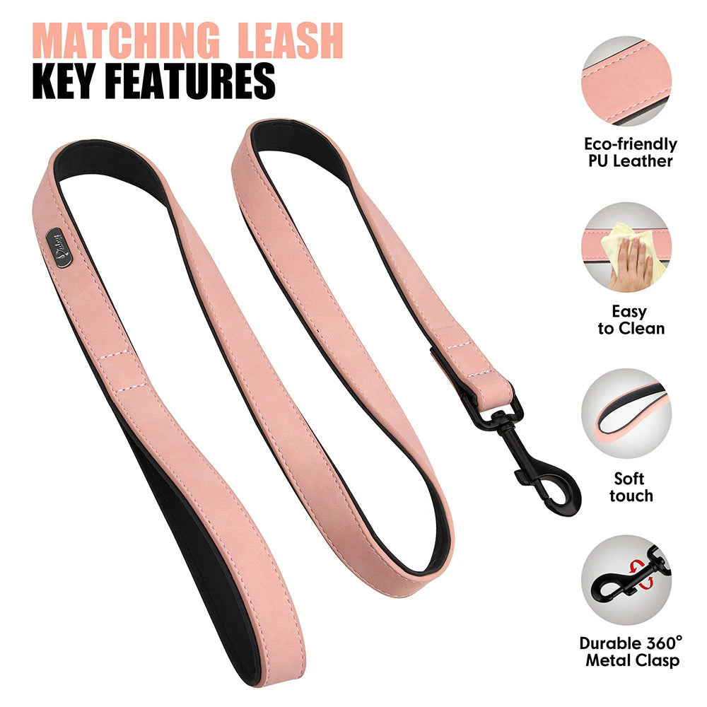 Custom PU Leather Dog Collar & Leash Set"