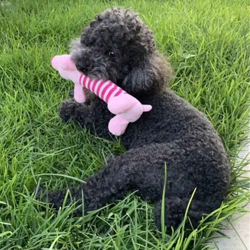 Snuggly Plush Squeaky Toy
