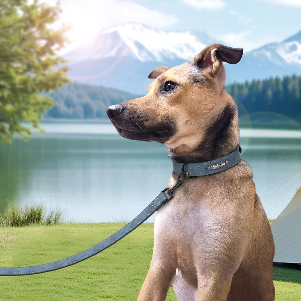 Custom PU Leather Dog Collar & Leash Set"