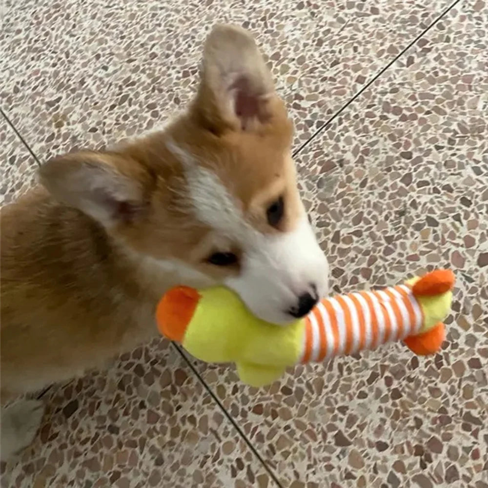 Snuggly Plush Squeaky Toy