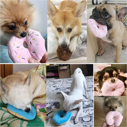 Squishy Donut Delight