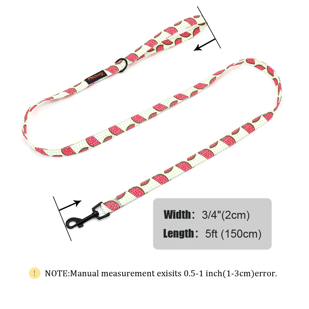 Fruity Nylon Leash