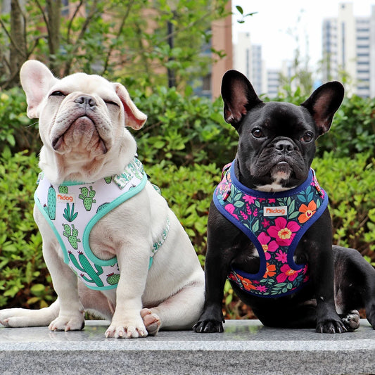 Soft Padded Pet Harness