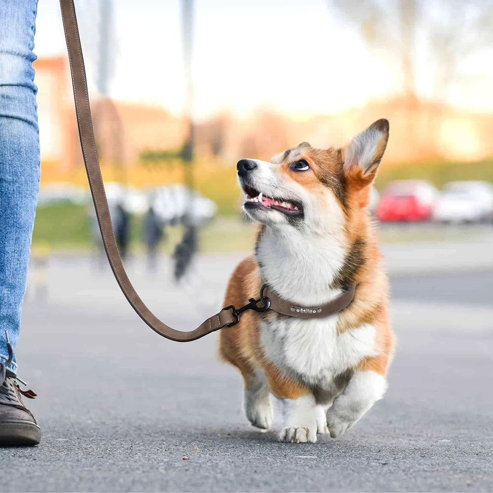 Custom PU Leather Dog Collar & Leash Set"