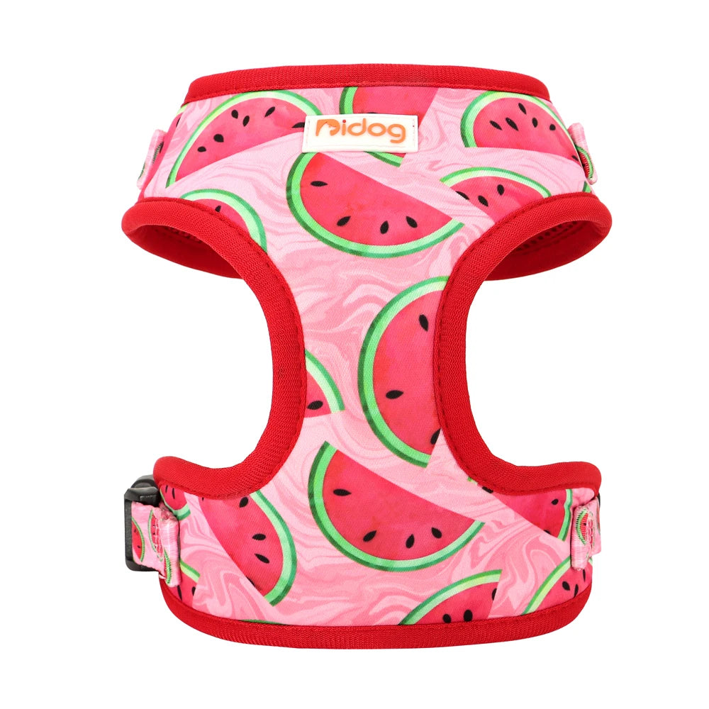 Soft Padded Pet Harness