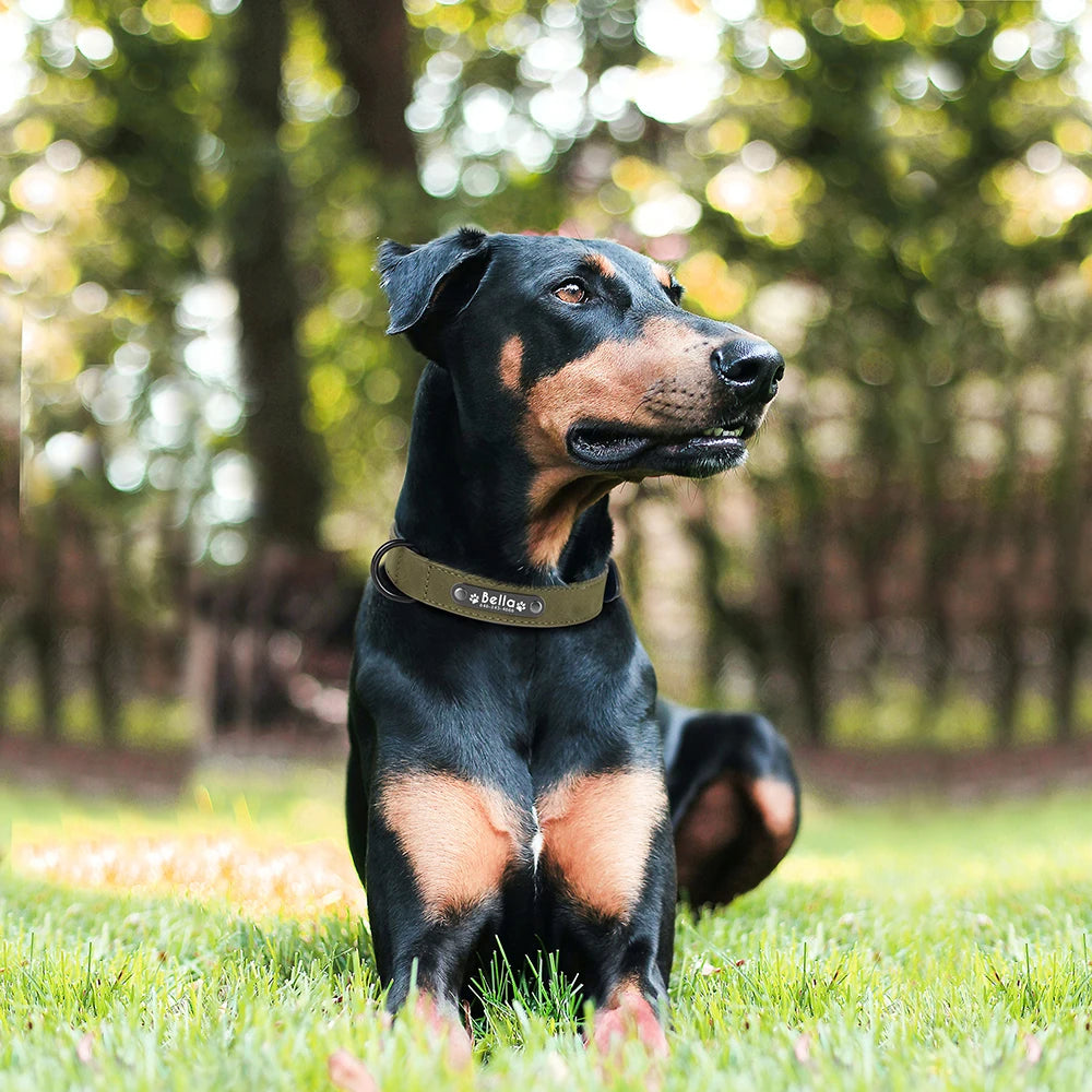 Custom Engraved PU Leather Dog Collar