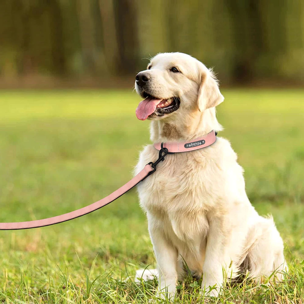 Custom PU Leather Dog Collar & Leash Set"