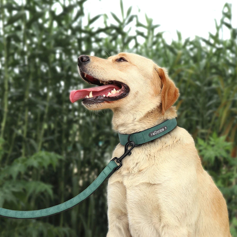 Custom PU Leather Dog Collar & Leash Set"