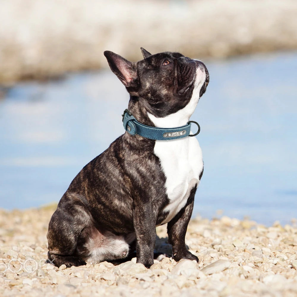 Custom Engraved PU Leather Dog Collar