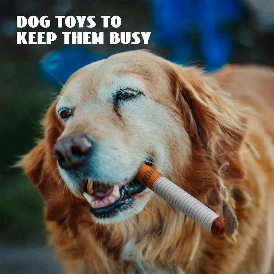 Smoky Squeak Toy