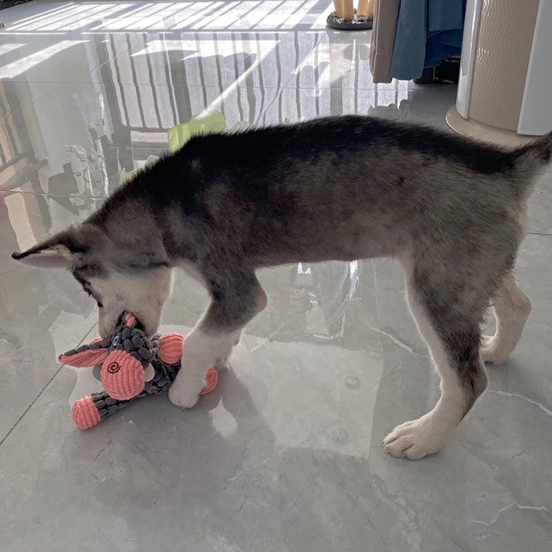 Plush Donkey Squeaky Toy