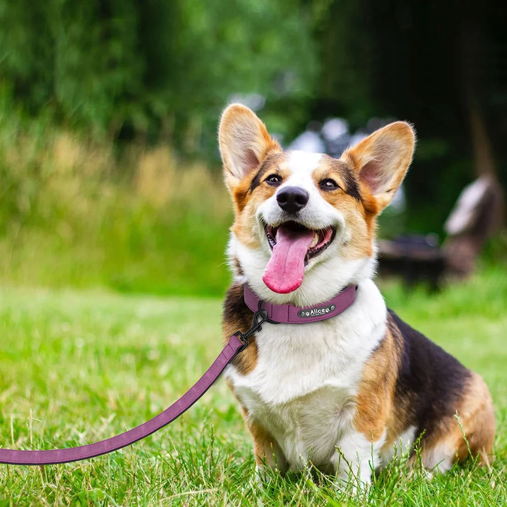 Custom PU Leather Dog Collar & Leash Set"