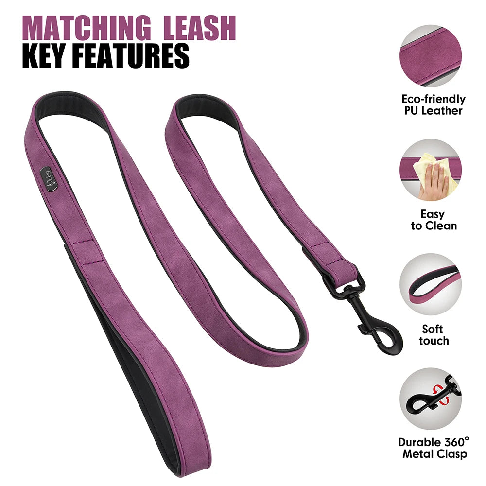 Custom PU Leather Dog Collar & Leash Set"