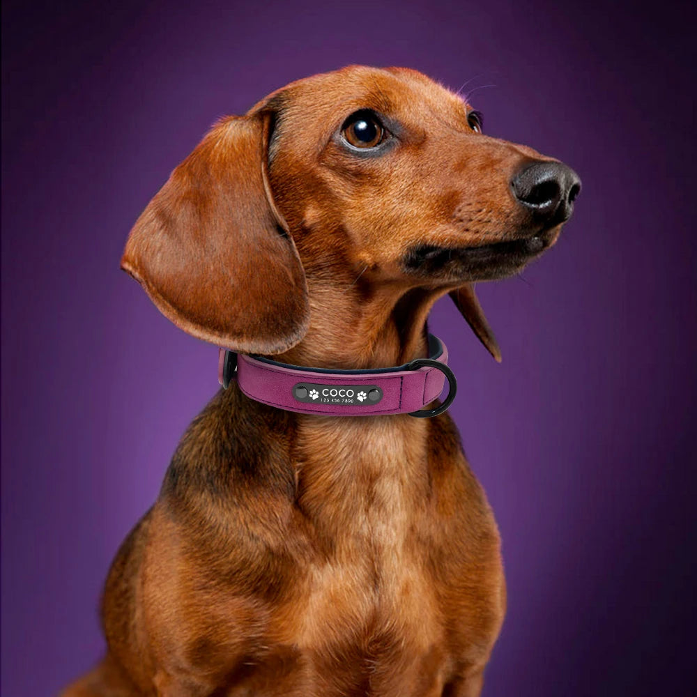 Custom Engraved PU Leather Dog Collar