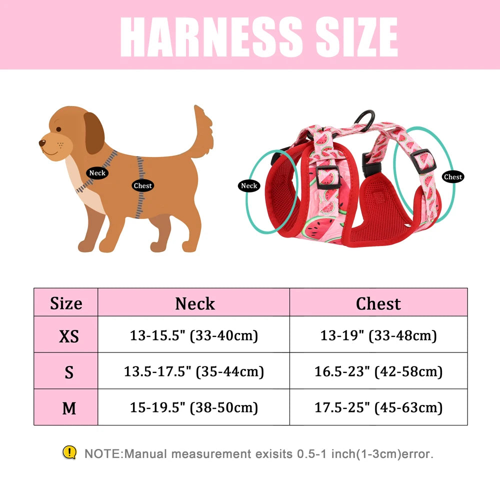 Soft Padded Pet Harness