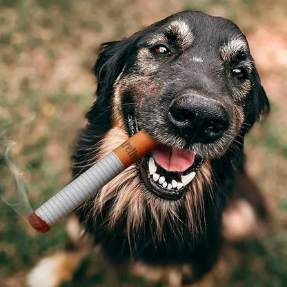 Smoky Squeak Toy