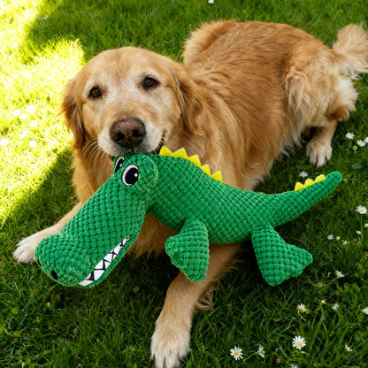 SquishyCuddle Croc Toy